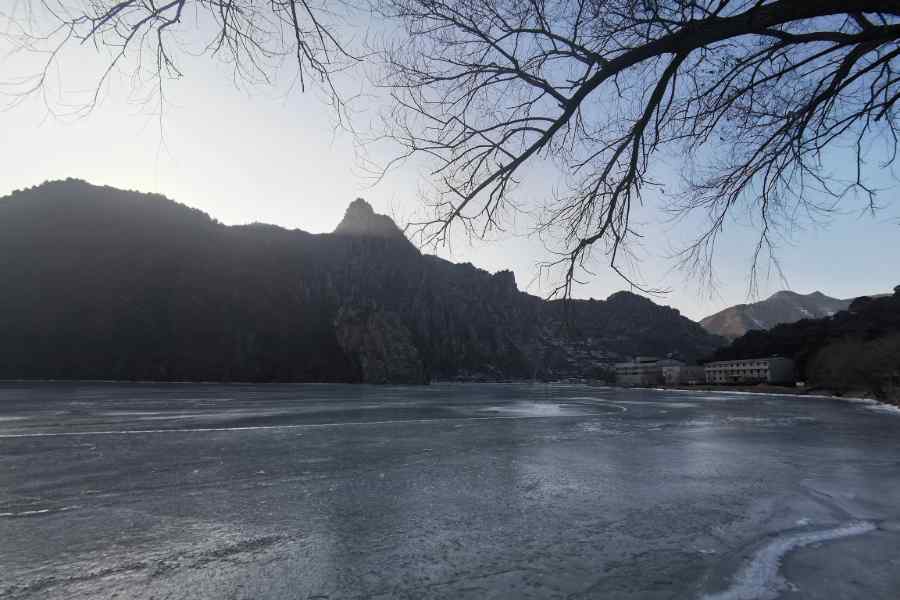 image03