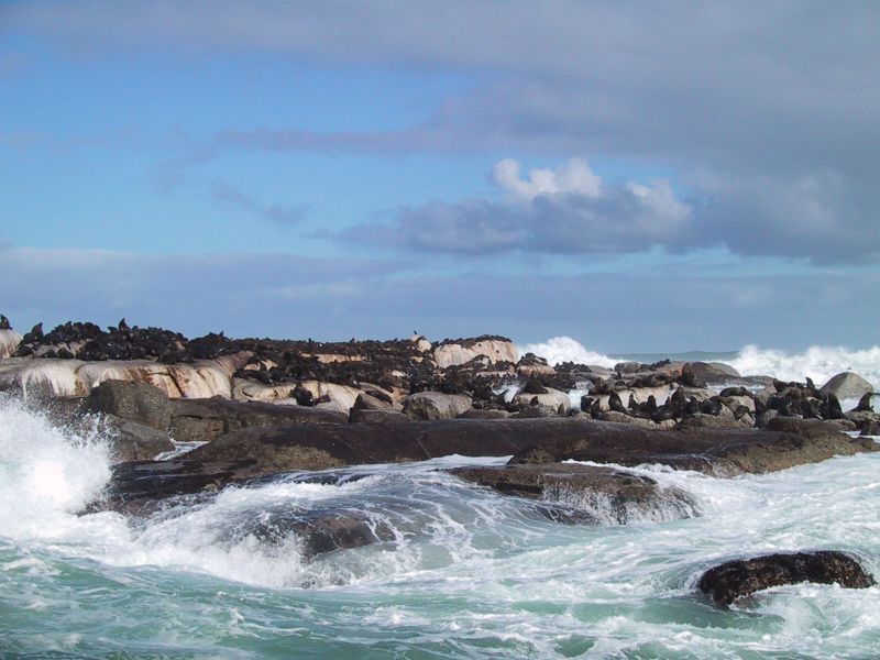 image03