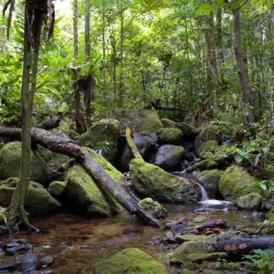 image02