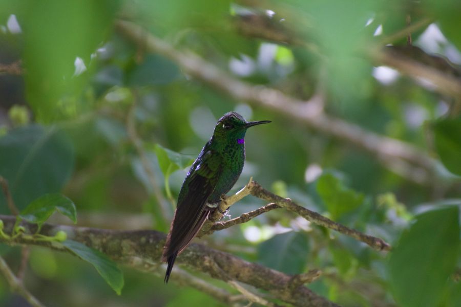 image05